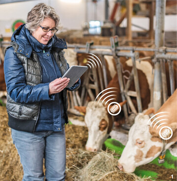 Mit einem Tablet oder Smartphone k�nnen die Aktivit�ts- und Leistungsdaten der K�he jederzeit abgerufen werden. Das erleichtert das Management der Milchviehherde.