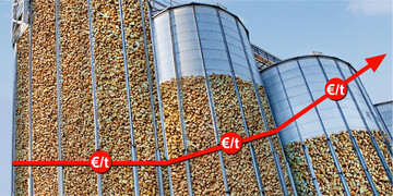 Die Getreidepreise zeigen wieder nach oben. Eine Trendwende ist das noch nicht.