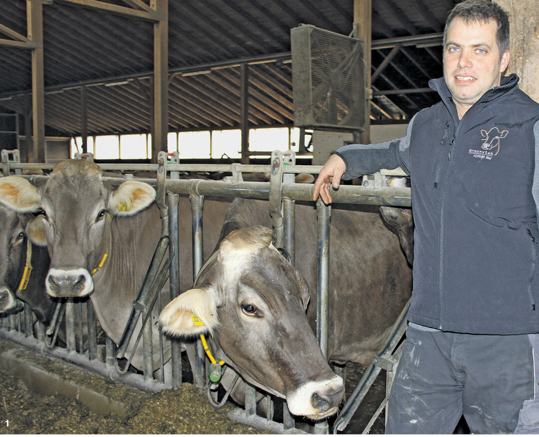 �Alle K�he k�nnen lange viel Milch geben. Ob sie das tun, h�ngt von den Menschen ab, die sie betreuen", ist Braunviehz�chter J�rgen Held �berzeugt. Der Landwirt aus Ulm-Donaustetten geh�rt zu den erfolgreichsten Z�chtern im Land.