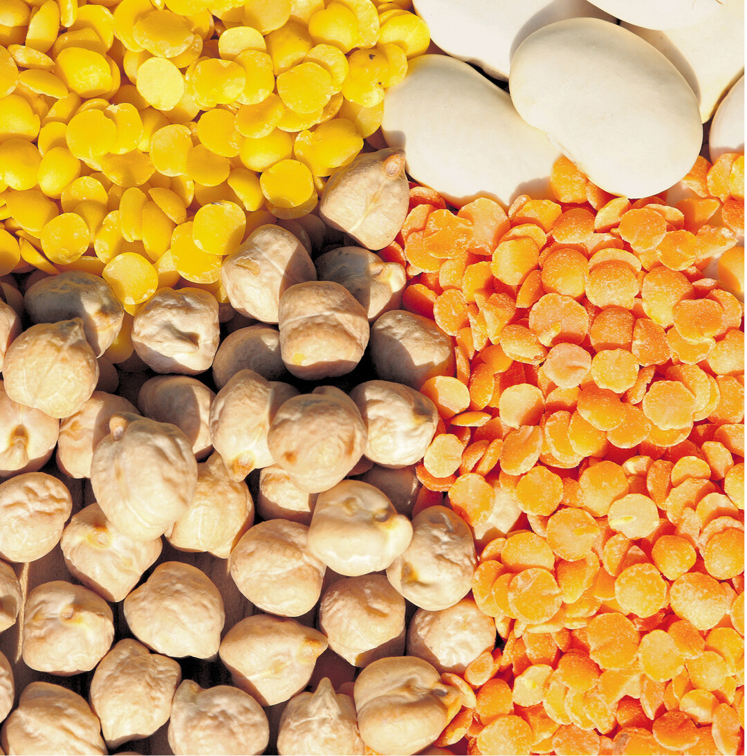 bild der woche H�lsenfr�chte geh�ren seit Jahrtausenden zu den �ltesten Kulturpflanzen des Menschen. Hier von links unten nach oben: Kichererbsen, gelbe Linsen, wei�e Bohnen und rote Linsen. Diese Vertreterinnen liefern 20 bis 25 Gramm Eiwei� in 100 Gramm trockenen Samen. Die gesch�lten gelben und roten Linsen brauchen kaum 15 Minuten Garzeit. Sie eignen sich besonders f�r Eintopf, Suppe und P�ree.