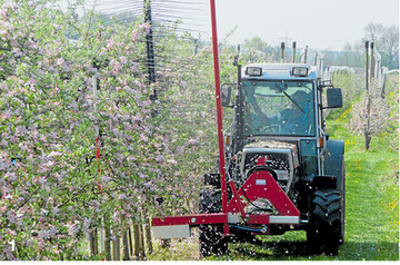 Ausd�nnung ist eine wichtige Ma�nahme, um die Fruchtqualit�t zur Ernte und damit den Deckungsbeitrag zu verbessern. Eine unter mehreren M�glichkeiten ist die mechanische Ausd�nnung mit dem Fadenger�t.