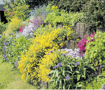 Mit einer bunt bepflanzten Stützmauer aus Pflanzringen lassen sich Böschungen oder Hänge befestigen.