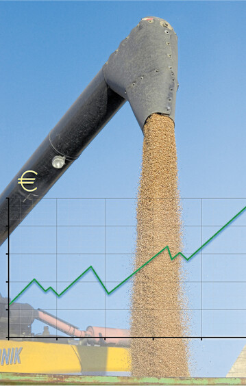 Die Preise f�r Getreide sind in S�dwestdeutschland gegenw�rtig um ein Viertel h�her als vor einem Jahr.