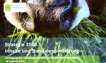  Die Milchbranche will k�nftig noch mehr an einem Strang ziehen: Preisgespr�che mit dem Handel und neue Standards f�r Tierwohl und Nachhaltigkeit besch�ftigen Milcherzeuger und Molkereien im Land.