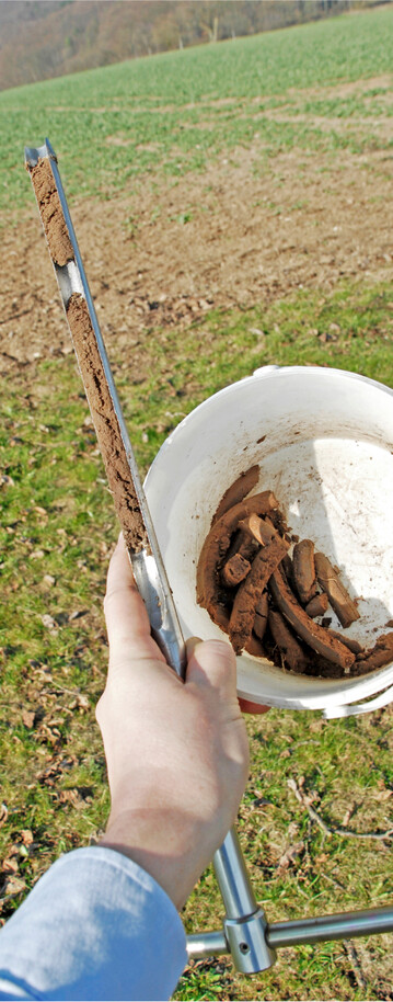 Eine optimale N-Düngeempfehlung erhält man nur durch die aktive Beprobung der eigenen Flächen.