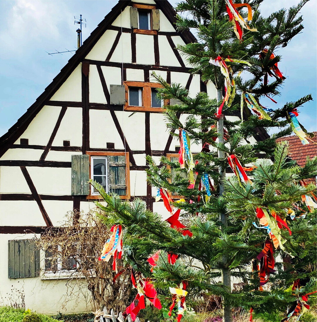 Der Narrenbaum In anderen Jahren steht er zur schw�bisch-alemannischen Fasnacht fast in jeder Gemeinde: Der Narrenbaum. In den Pandemiejahren entf�llt vielerorts das turbulente Brauchtum. Seit dem vergangenen Jahr gibt es daf�r ein anderes Bild zu sehen: Der Weihnachtsbaum wird kurzerhand zum Narrenbaum umfunktioniert und in den Vorgarten gestellt. Mit bunten B�ndern und Luftballons dekoriert, haben etliche Familien so ihren privaten n�rrischen Baum. Woher der Brauch des Baumstellens an den n�rrischen Tagen �brigens stammt, dar�ber sind sich Experten uneinig. Eine Vermutung ist, dass der Baum �ber die Stadtgrenzen hinaus zeigen sollte, dass die Narren ab jetzt das Sagen haben. Je h�her und kr�ftiger der Baum, umso m�chtiger war auch das n�rrische Volk, das zu ihm geh�rt. Der Freiburger Brauchtumsforscher Werner Mezger vermutet, dass die Urspr�nge des Narrenbaums im Blockziehen" liegen. Bei dem Brauch, der seit dem 15. Jahrhundert belegt ist, haben einst alleinstehende M�dchen und Frauen  unter viel Spott und Hohn  einen nackten Baumstamm durch die Gassen gezogen, aus dem sich der passende Mann schnitzen l�sst. Eine weitere Theorie ist, dass vor Jahrhunderten zur bevorstehenden Fastenzeit kleine, geschm�ckte B�umchen mit sich herum getragen wurden. rue