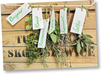 Riechen gut und ist preiswerter und ges�nder als Raumspray oder Lufterfrischer: Kr�uterb�schel.