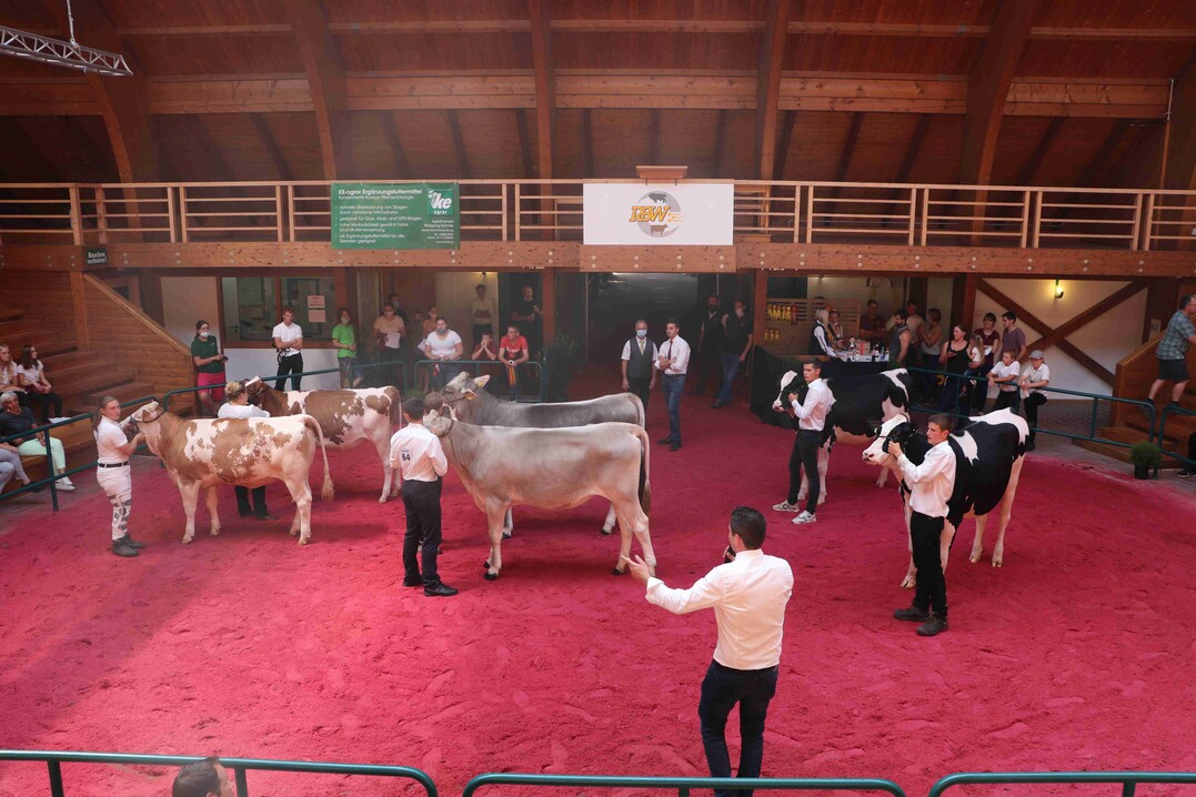 Jungz�chtertag 2020