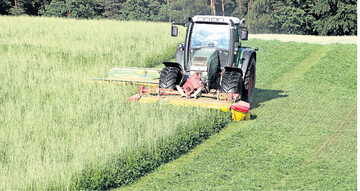 Soll der Grünlandschnitt zur Biogaserzeugung genutzt werden, ist es wirtschaftlich, einmal weniger zu schneiden. Dadurch verschiebt sich der erste Schnitt nach hinten.