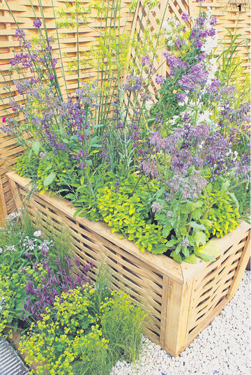 Ein h�lzernes Hochbeet in aparter Flechtoptik mit Kr�utern.