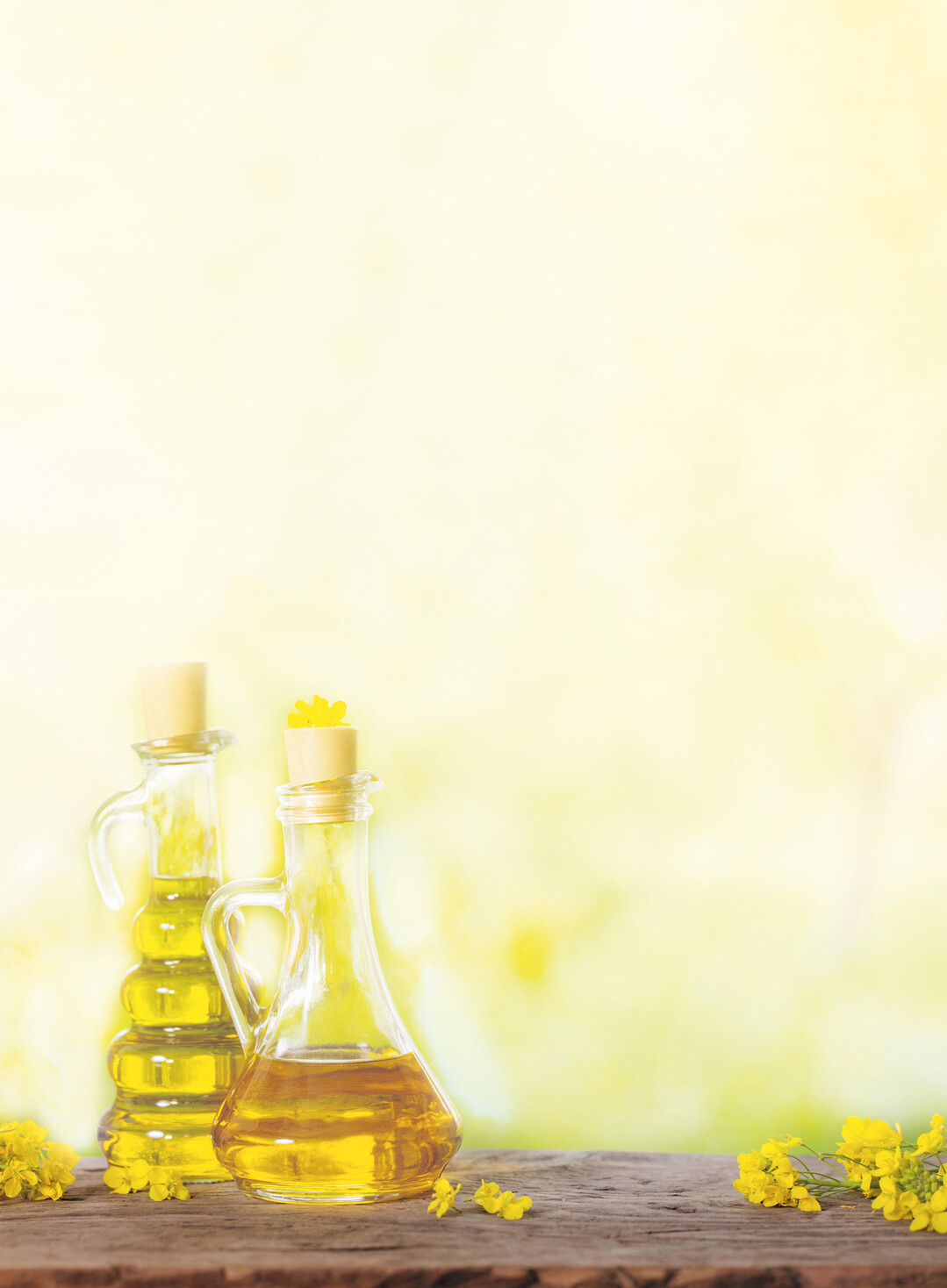 Raps�l sollte wegen seines Anteils an wertvollem Omega-3-Fett nicht zu stark erhitzt werden.