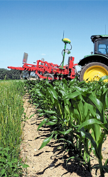 Die hohen Preise werden weltweit zu einer Ausdehnung des Ackerbaus f�hren.