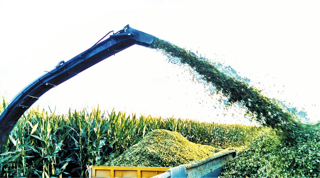 Ab dem 1. Januar 2022 muss Biomasse, die als Substrat in die Biogasanlagen wandert, zertifiziert werden.