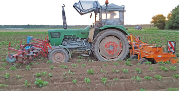 D�mmen nach Fr�sen im Betrieb Karl aus Neuhofen (Rhein-Pfalz-Kreis). Hier wird Kalkstickstoff zur Qualit�tssicherung eingesetzt.