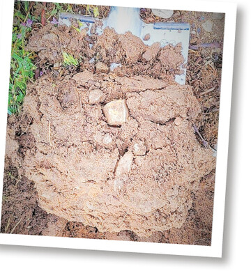 Eine Spatentiefe gen�gt, um sich einen �berblick �ber den Zustand des Weinbergsbodens zu verschaffen.