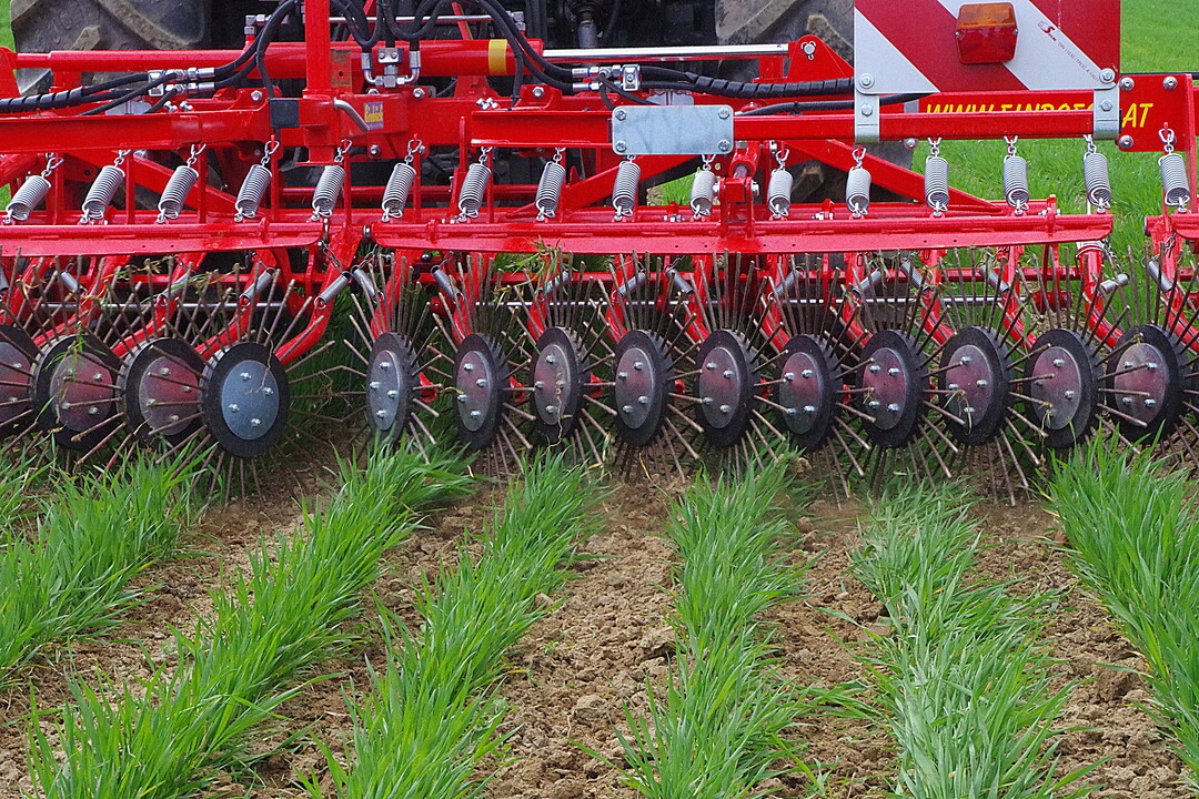 Rollstriegel Einb�ck Aerostar Rotation: Der Rollstriegel ist in Arbeitsbreiten bis zu zw�lf Meter erh�ltlich. In dem Ger�t sind 50 Zentimeter hohe Sternr�der im Abstand von 15 Zentimeter angeordnet. Die Zinken haben 6,5 Millimeter Durchmesser. Federn pressen die einzeln aufgeh�ngten R�der an den Boden an. Die R�der sollen den Boden zwischen den Reihen fl�chig abreiben. 