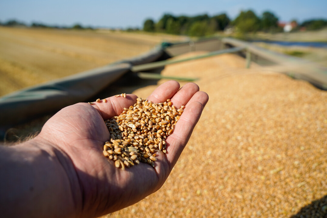 Die Nachfrage nach Agrarrohstoffen steigt. Eine ertragsmindernde Extensivierung der Produktion zur Reduktion von Treibhausgasemissionen f�hrt also nicht zum Ziel.