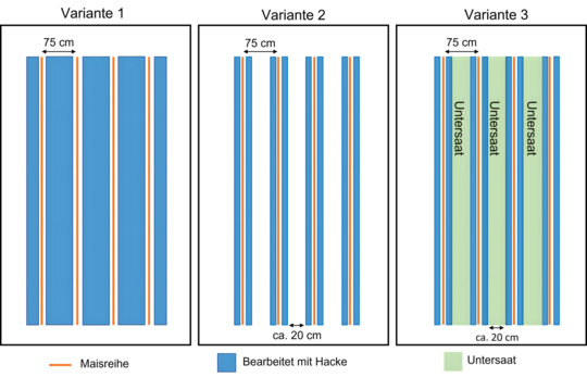 Versuchsaufbau des Praxisversuchs.