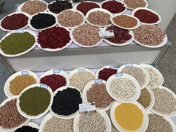 Auswahl an Hülsenfrüchten. Landwirte sollten sich in Erzeugergemeinschaften zusammenschließen, um Leguminosen besser zu vermarkten.