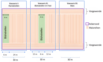 So sieht der Anbauplan des Projekts aus.