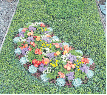 �Minimus� ist die besonders kleinbl�ttrige Variante des Spindelstrauchs, die f�r kleine Gr�ber sehr gut geeignet ist.