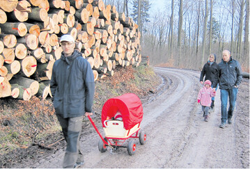 Der Dreiklang aus �kologischen, �konomischen und sozialen Funktionen des Waldes findet seinen Niederschlag unter anderem in sogenannten Waldfunktionenkarten. Derzeit wird im Land unter Federf�hrung der FVA Freiburg eine neue Erholungswaldkarte erarbeitet.