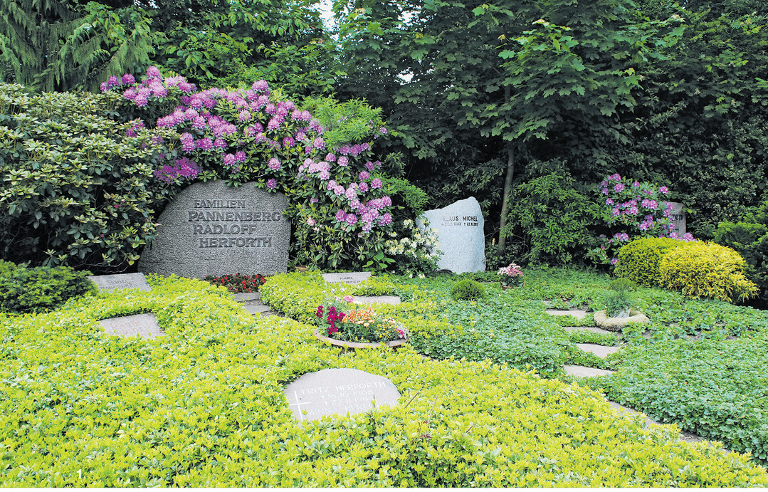 Rhododendren z�hlen wie die Heidepflanzen zu den Moorbeetpflanzen mit besonderen Anspr�chen an den Boden.