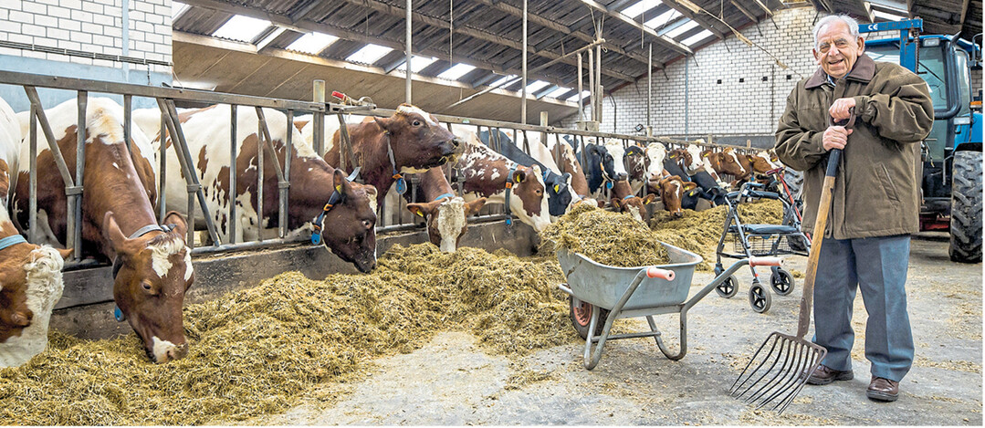Menschen, die an Demenz leiden, k�nnen durchaus einfache, wiederkehrende T�tigkeiten verrichten, die ihnen Freude bereiten.