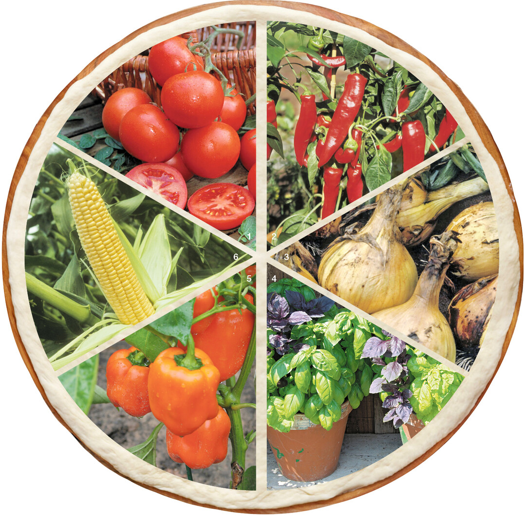 Tomaten d�rfen auf einer Pizza nicht fehlen. Fruchtig-scharfe Chilischoten und Spitzpaprika lassen sich im Beet oder auch im Topf anbauen. Zwiebeln sind f�r die mediterrane wie f�r die heimische K�che unverzichtbar. Basilikum dankt einen sonnigen Standort mit einem guten Aroma. Gem�sepaprika kann sehr fruchtige Noten entwickeln. Zuckermais wird nicht zuletzt von den Kindern sehr geliebt.