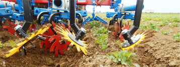 Mit der Kombinationsrollhacke (Dammstriegel, Sternrollhacke, Fingerhacke) lassen sich selbst bei schwierigen Verhältnissen die Unkräuter noch bekämpfen.