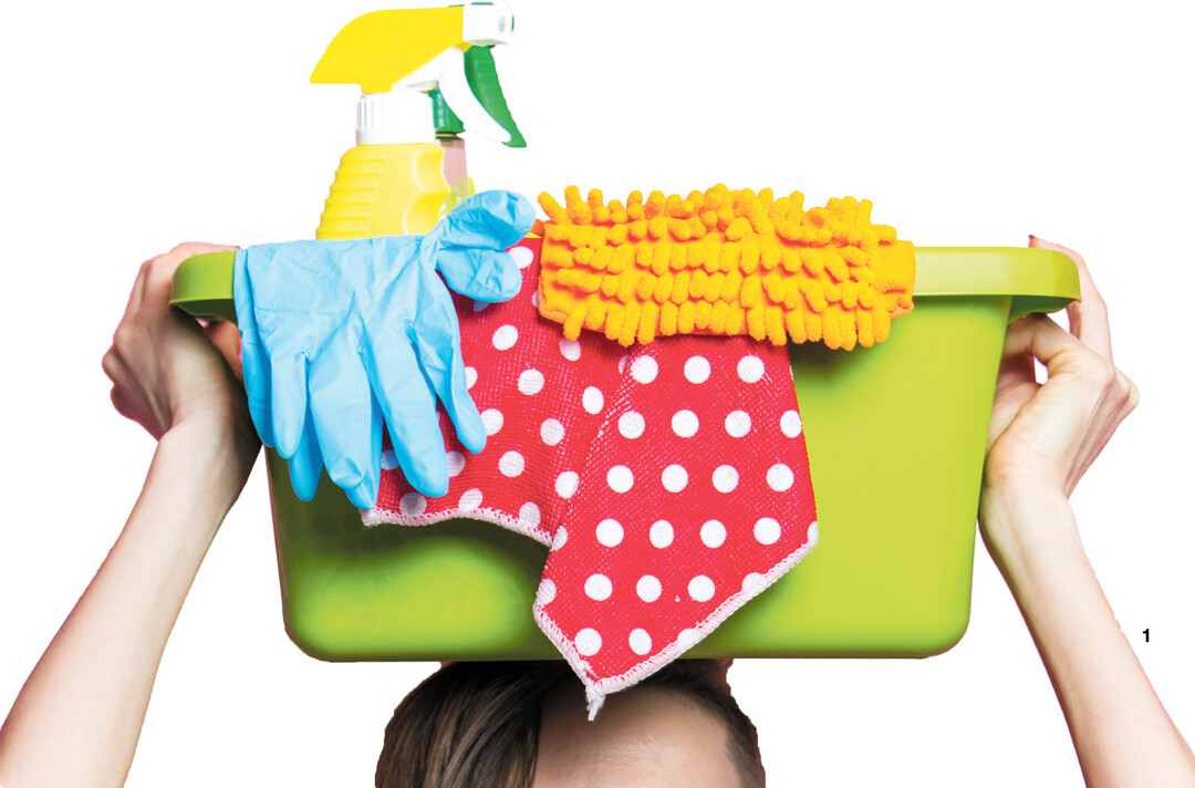 Der Fr�hjahrsputz steht vor der T�r.