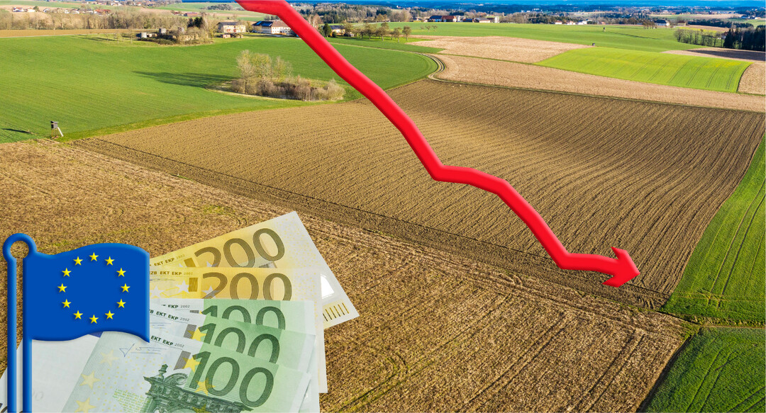 Die neue GAP wirft viele Fragen auf. Fallende Direktzahlungen sollte man versuchen, mit �koregelungen auszugleichen.�