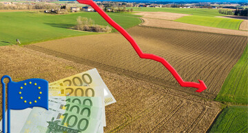 Die neue GAP wirft viele Fragen auf. Fallende Direktzahlungen sollte man versuchen, mit �koregelungen auszugleichen.�