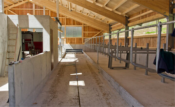 Nach der LfL-Baukostenauswertung 2021/22 wurden bis Mitte 2022 in fertiggestellte Kuhställe - Neubauten ohne Gülle- und Futterlager - im Mittel 13.200 Euro/Kuhplatz (brutto) investiert. Trotz steigender Milchpreise hat sich die Gewinnspanne nur geringfügig verbessert.