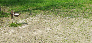 Ein befestigter Platz im Umfeld einer Tränke verbessert den Zugang zu Wasser.