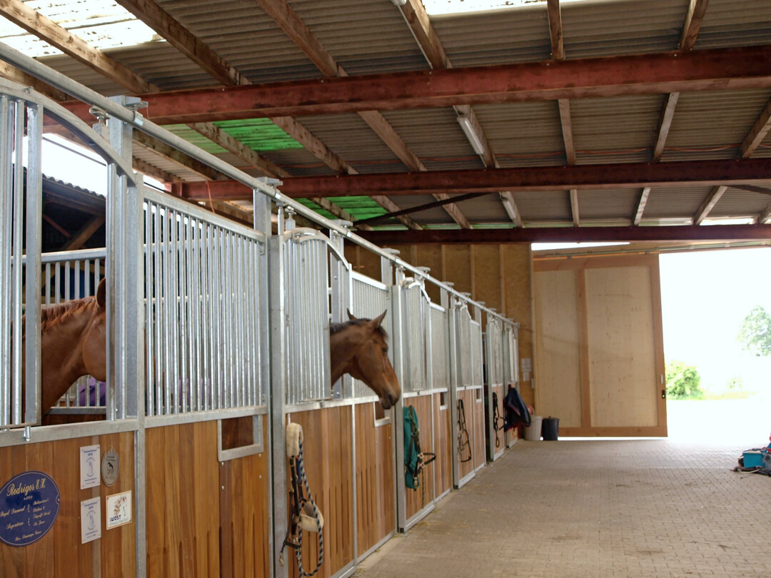 F�r ein gutes Stallklima ist eine ausreichende Bel�ftung unerl�sslich. Am einfachsten ist es, die Fenster und das Stalltor aufzumachen � und zwar auch im Winter. Zus�tzlich verbessern L�ftungsschlitze die Luftqualit�t.