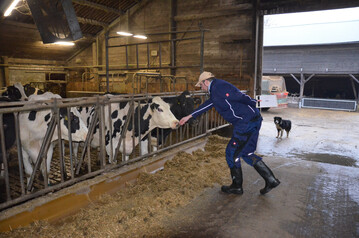 1 Mit einem Vermeidungsdistanz-Test � in diesem Bild wurde er bei K�hen angewandt � wurden die Jungrinder darauf untersucht, wie sie auf Menschen reagieren.