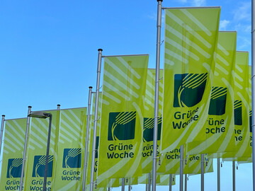 Die Fahnen der Gr�nen Woche in Berlin mit dem neuen Logo, das seit dem Jahr 2024 zu sehen ist.