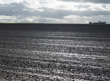 Besonders auf stark verschl�mmten Fl�chen sollte die Anwendung von Branntkalk im Fr�hjahr erwogen werden.