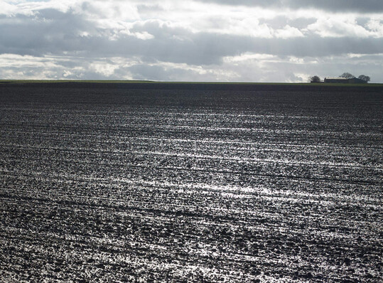 Besonders auf stark verschl�mmten Fl�chen sollte die Anwendung von Branntkalk im Fr�hjahr erwogen werden.