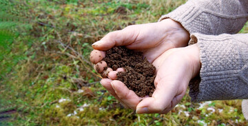 Ist die Gartenerde lehmig, sandig oder humusreich, n�hrstoffarm oder n�hrstoffreich? Eine Bodenprobe gibt Aufschluss �ber die Beschaffenheit und dar�ber, wie ged�ngt werden muss.