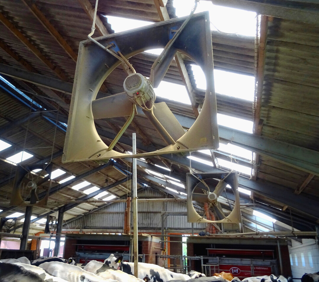 2 Eine wirksame Abk�hlung der Tiere wird durch Luftgeschwindigkeiten von �ber 2 m/s erreicht.