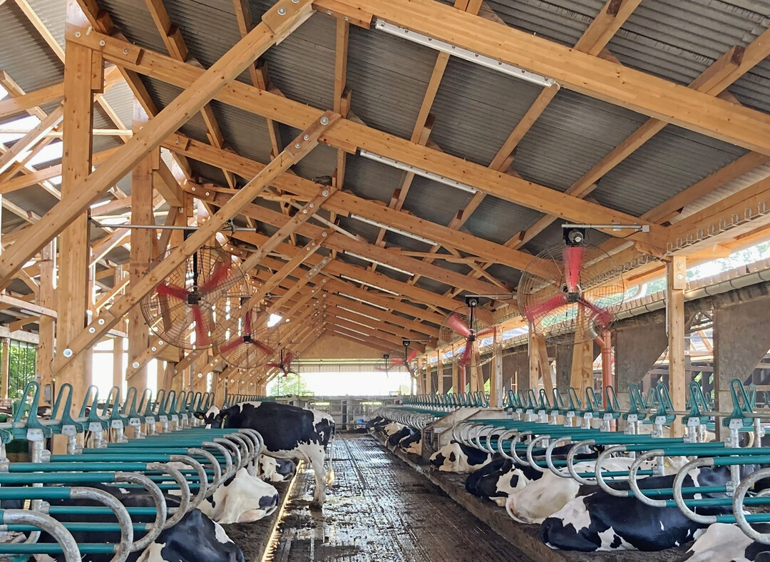 3 Bei L�sungen zur Hitzestressreduzierung bei K�hen m�ssen betriebliche Gegebenheiten wie Decken- und Traufenh�he sowie Hindernisse im Liegebereich wie Kraftfutterabrufstationen oder St�nderwerke ber�cksichtigt werden.