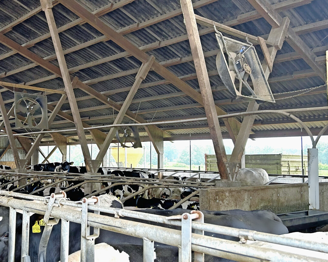 5 Axial-Ventilatoren sollten mit einem Neigungswinkel von 15 bis 25 Grad installiert werden.