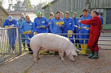 Landwirte investieren, wenn die Rahmenbedingungen stimmen. 