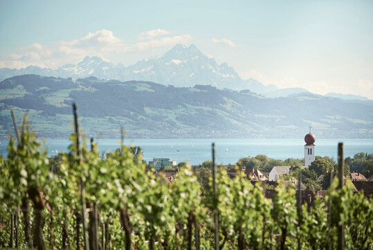 Blick auf Kressbronn und den Bodensee, im Hintergrund die Alpen.