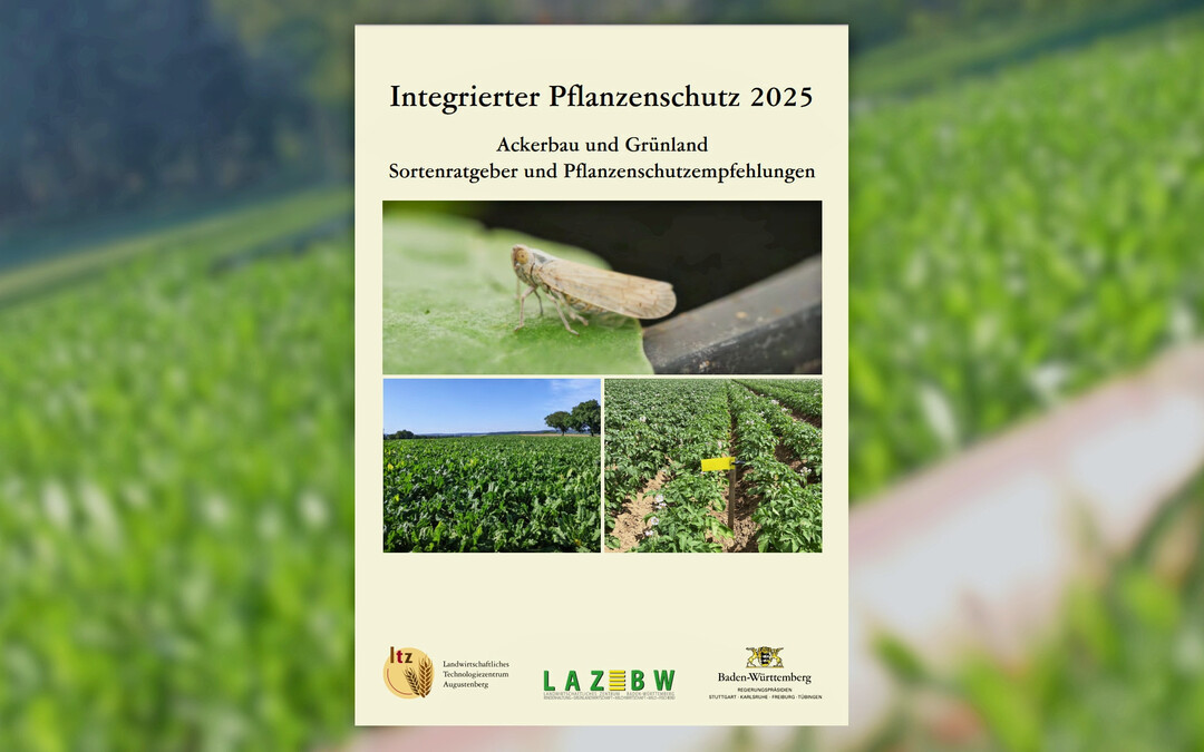 Die Broschüre steht ab sofort zum Herunterladen bereit.