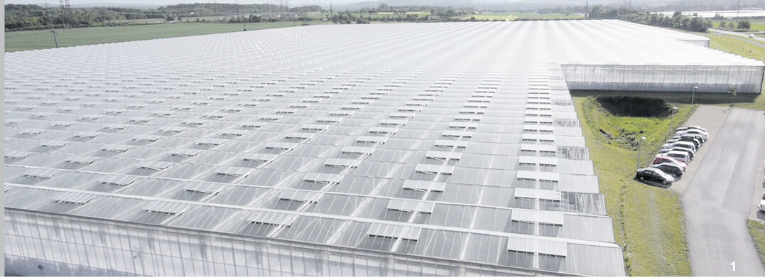 Beim Blick von oben ist die beeindruckende Dimension der Paprika-Gew�chsh�user am besten erkennbar.