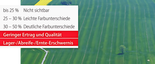 Eine Streuabweichung ist f�r das menschliche Auge erst ab ungef�hr 30 % sichtbar.