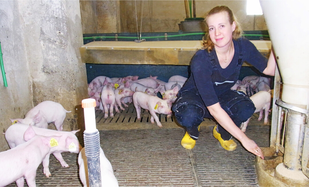 Die ersten 17 Tage nach dem Absetzen verbringen die Ferkel in Buchten mit einer Zonenheizung und offenen Futterschalen. Danach wechseln sie in einen ausgesiedelten Stall. Die r�umlich getrennte Aufzucht verhindert, dass nachtr�glich Erreger auf die Stammherde einwirken", sagt Judith Krau�.